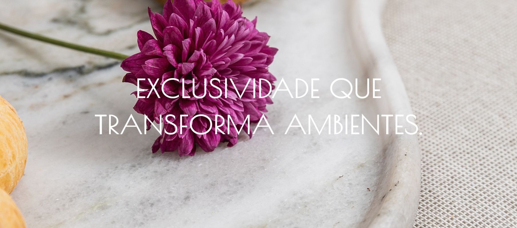 Cópia de Banner (fotos ambientadas) (1810 x 800 px) (1)